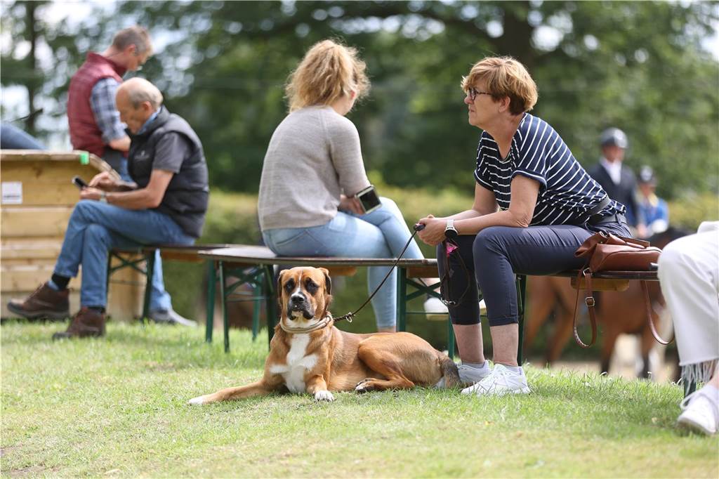 Die besten Bilder vom ersten Tag der Vinnumer Reitertage.