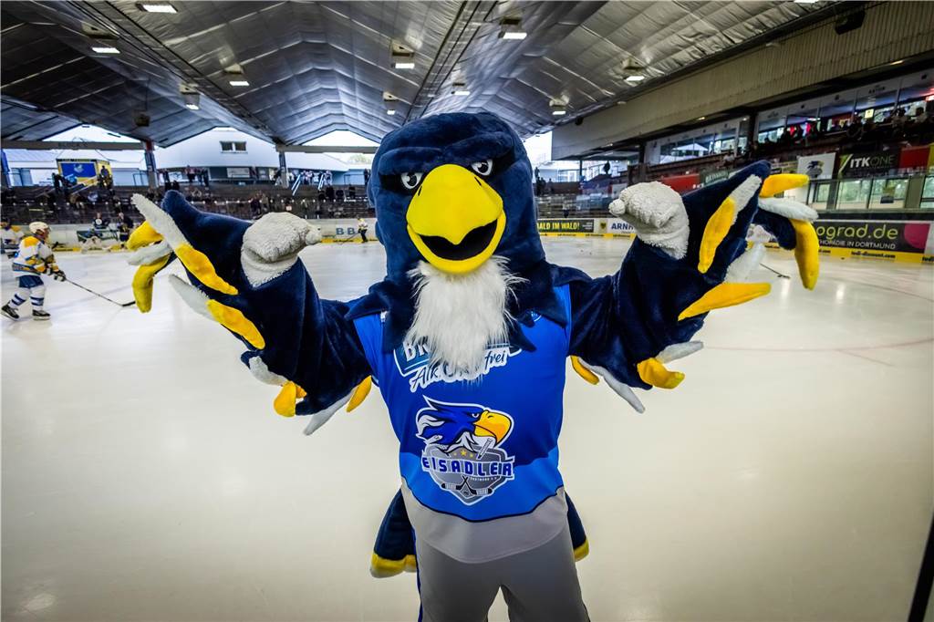 Die besten Bilder vom Jubiläumsspiel der Eisadler.