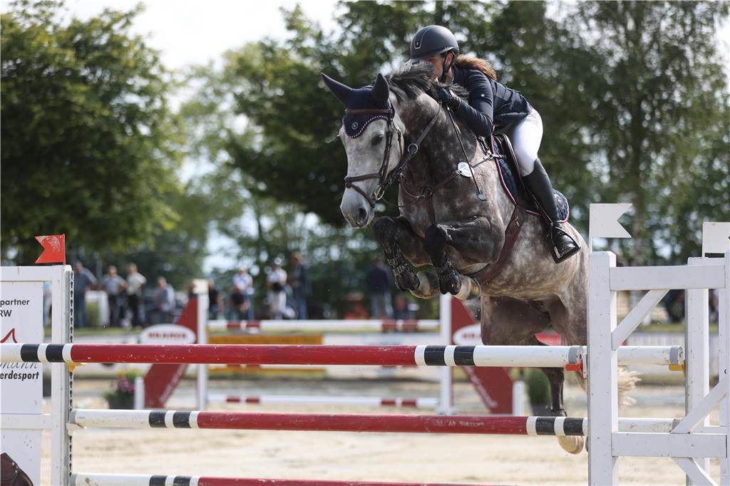 Die besten Bilder vom S*-Springen am Freitag der Vinnumer Reitertage 2024.