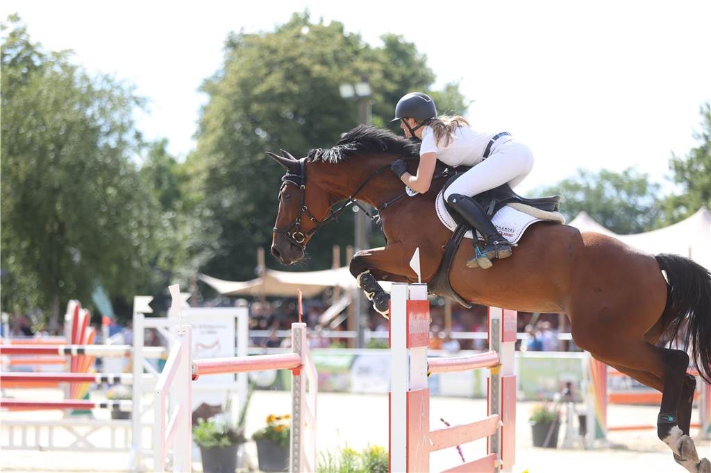 Die besten Bilder vom S*-Springen bei den Vinnumer Reitertagen.