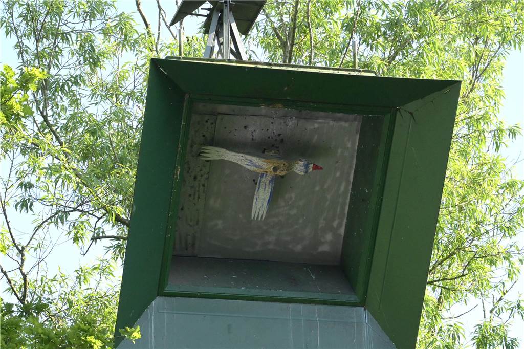 Die besten Bilder vom Vogelschießen des BSV Herbern und seinem neuen König Christoph Ruhmöller.