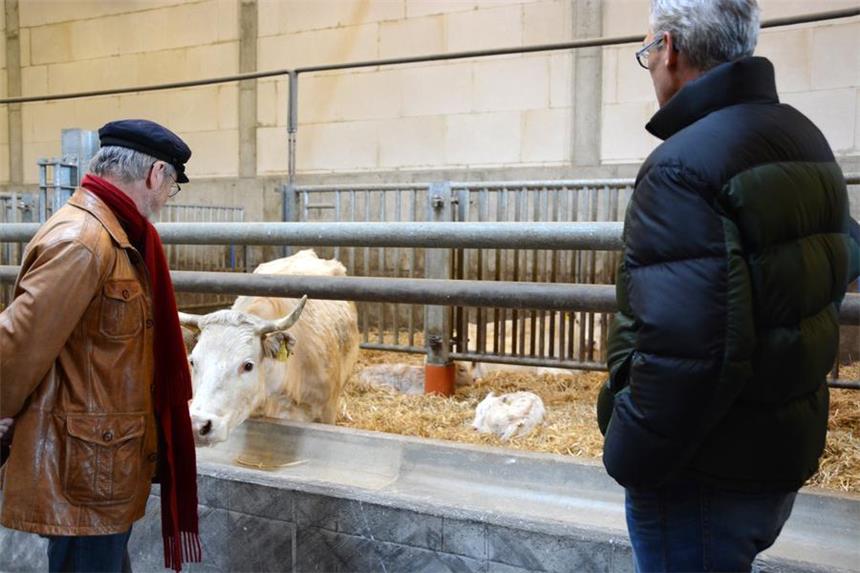 Gutachten zum Venneker-Neubau wird erstellt Die Besucher stellten Albert Venneker (r.) bei einer Betriebsbesichtigung im Mai viele Fragen. Der geplante Umzug des Viehhandels bereitet einigen Anwohnern Sorgen.