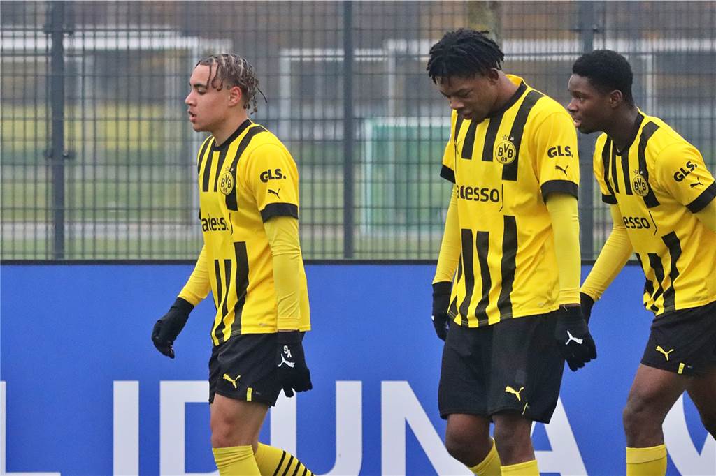 Die Bilder des Heimspiels der BVB-U19 gegen den MSV Duisburg.