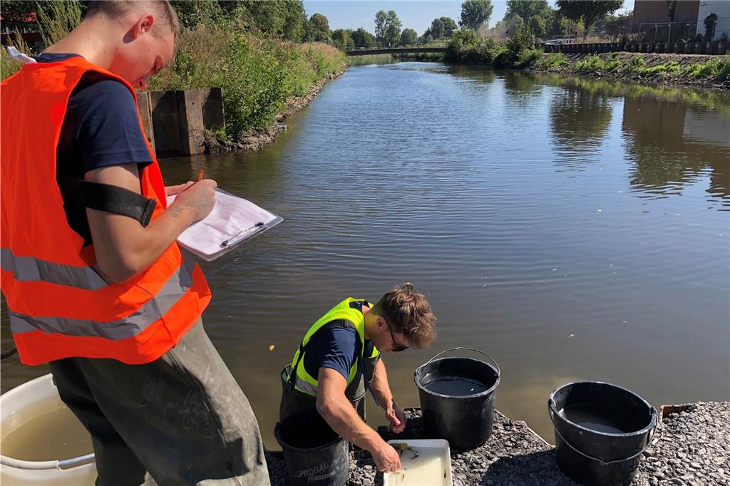 Biologen retten über 1000 Fische und Muscheln aus der trockengelegten Berkel Die Biologen Louis Sollinger (l.) und Florian Kreische dokumentieren genau die Arten, Zahlen und Größen der gefangenen Fische bevor sie wieder ausgesetzt werden.