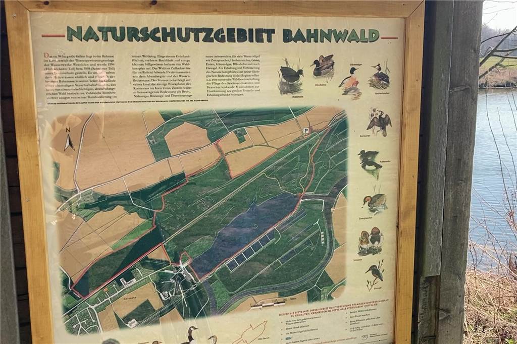 Ruhrtalradweg ab Ostern gesperrt: Aktuell ist auch die Ausweichstrecke blockiert Die bislang favorisierte Umleitung führt durch das Naturschutzgebiet Bahnwäldchen.