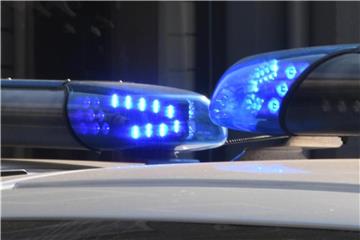 Die Blaulichter sind auf den Dächern von Polizeifahrzeugen zu sehen. Foto: Carsten Rehder/Archiv