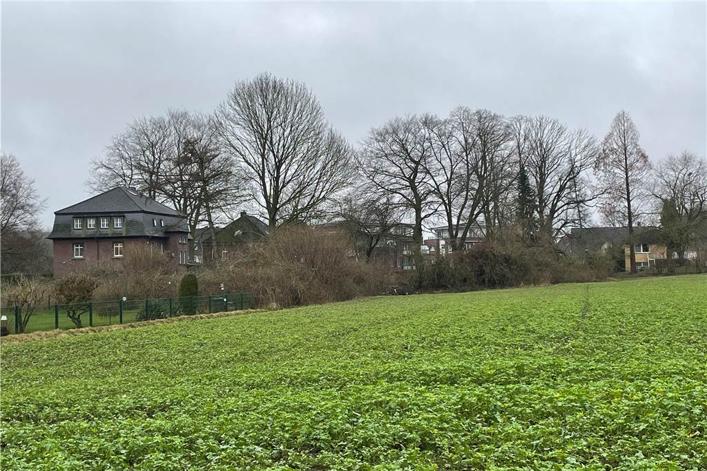 Neuer Wohnraum für Kirchhellen: Hier soll bald gebaut werden Die brachliegende Baufläche hat sich die Natur in den vergangenen Jahren zurückgeholt. Außer Sträuchern und Büschen gibt es hier bisher noch nicht viel zu sehen.