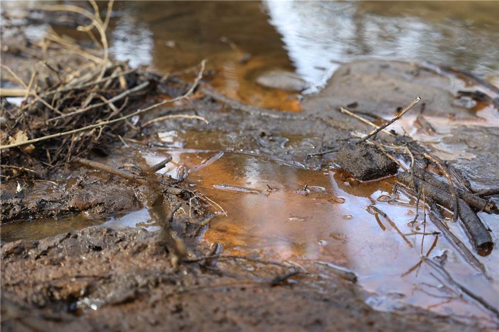 Braune Verfärbung im Fuchsbach: SAL sieht keinen Grund für Beunruhigung braune Verfärbung im Fuchsbach in Lünen