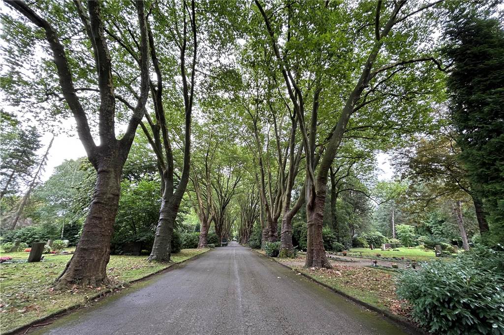 „Hunde pinkeln auf Gräber, manche Wege sind gefährlich“: Gerda Menge (73) kritisiert Zustände auf Südfriedhof Die breite Allee des Südfriedhofs ist eine beliebte Spaziergeh-Strecke.