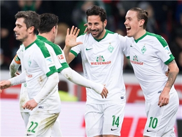 Die Bremer feiern ihren Torschützen zum 1:1-Ausgleich Claudio Pizarro (M). Foto: Marius Becker