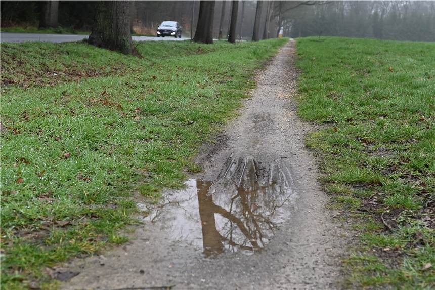 „Schlossallee“ in Lembeck soll einen neuen Radweg bekommen Fuß- und Radweg an der Lembecker Schlossallee