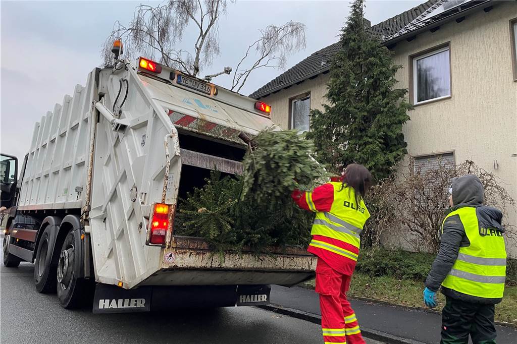 Wohin mit dem Weihnachtsbaum? Alle Infos zur Sammelaktion am Samstag Die DLRG sammelt Weihnachtsbäume traditionell im Stadtteil Ickern ein.