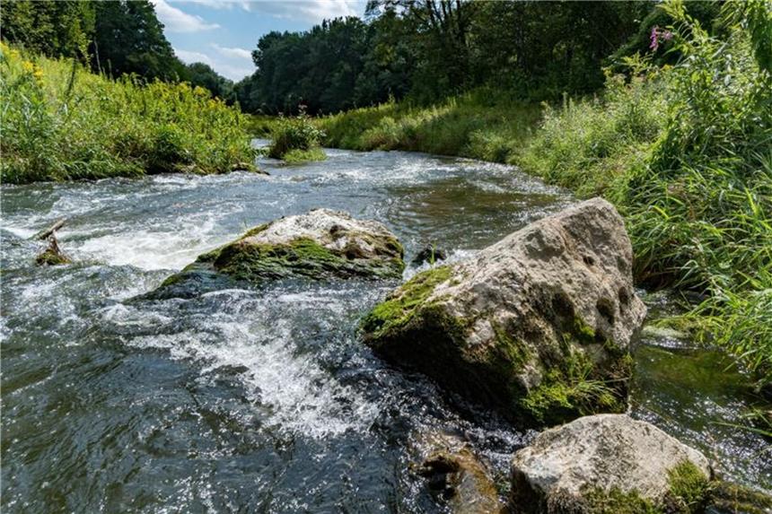 Die Donau-Auen: Obwohl sich die Wasserqualität sehr verbessert habe und etwa Biber und Lachse zurückgekehrt seien, gehörten Gewässer und Auen weiter zu den bedrohten Lebensräumen in Deutschland. Foto: Armin Weigel