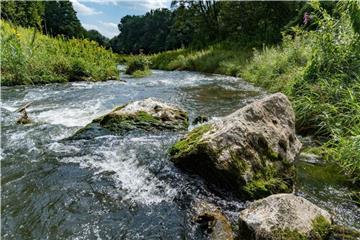 Die Donau-Auen: Obwohl sich die Wasserqualität sehr verbessert habe und etwa Biber und Lachse zurückgekehrt seien, gehörten Gewässer und Auen weiter zu den bedrohten Lebensräumen in Deutschland. Foto: Armin Weigel