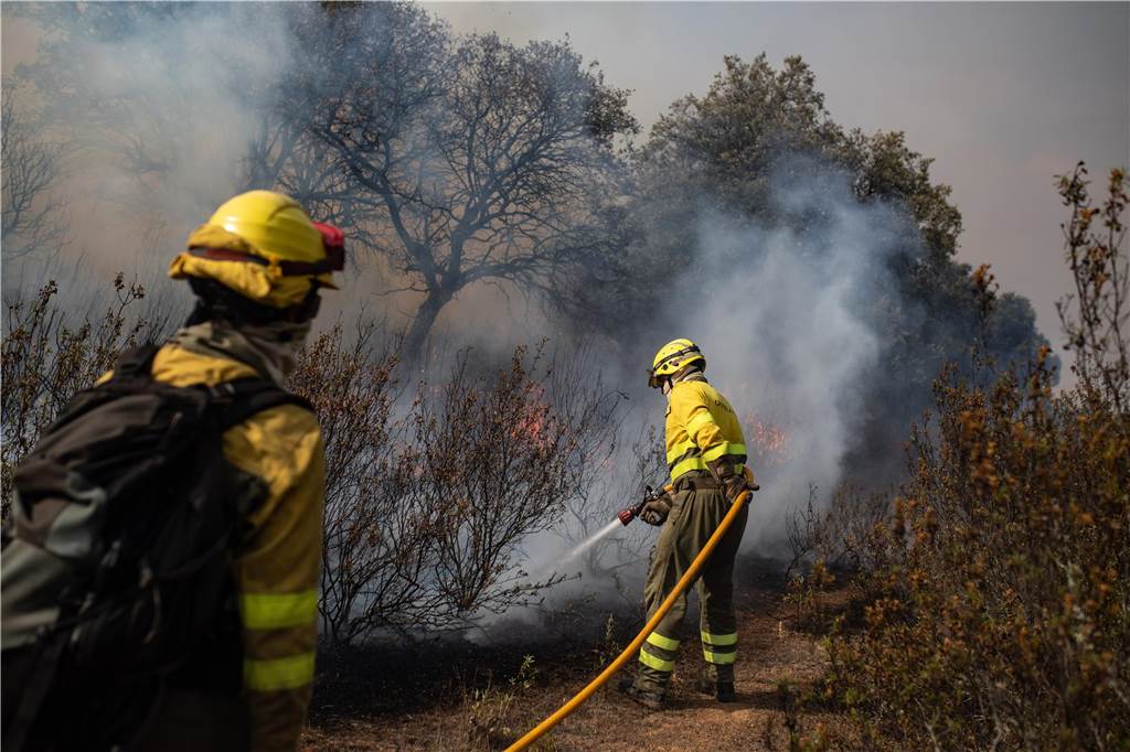 Feuerwehr bekommt bessere Schutz-Kleidung bei Flächenbränden Feuerwehrleute