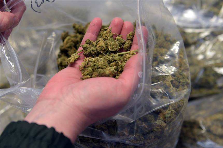 Sack Marihuana im Kofferraum - doch damit nicht genug Die Dortmunder Polizei hat kiloweise Marihuana sichergestellt. (Symbolbild)
