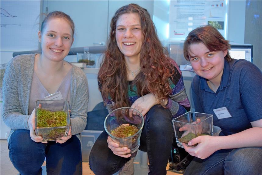 Teams aus Dortmund gewinnen mit ihren Ideen Die drei Schülerinnen Anna Lena, Anna Lyn und Rachel wollen die Feinstaubbelastung mithilfe von Moos reduzieren.
