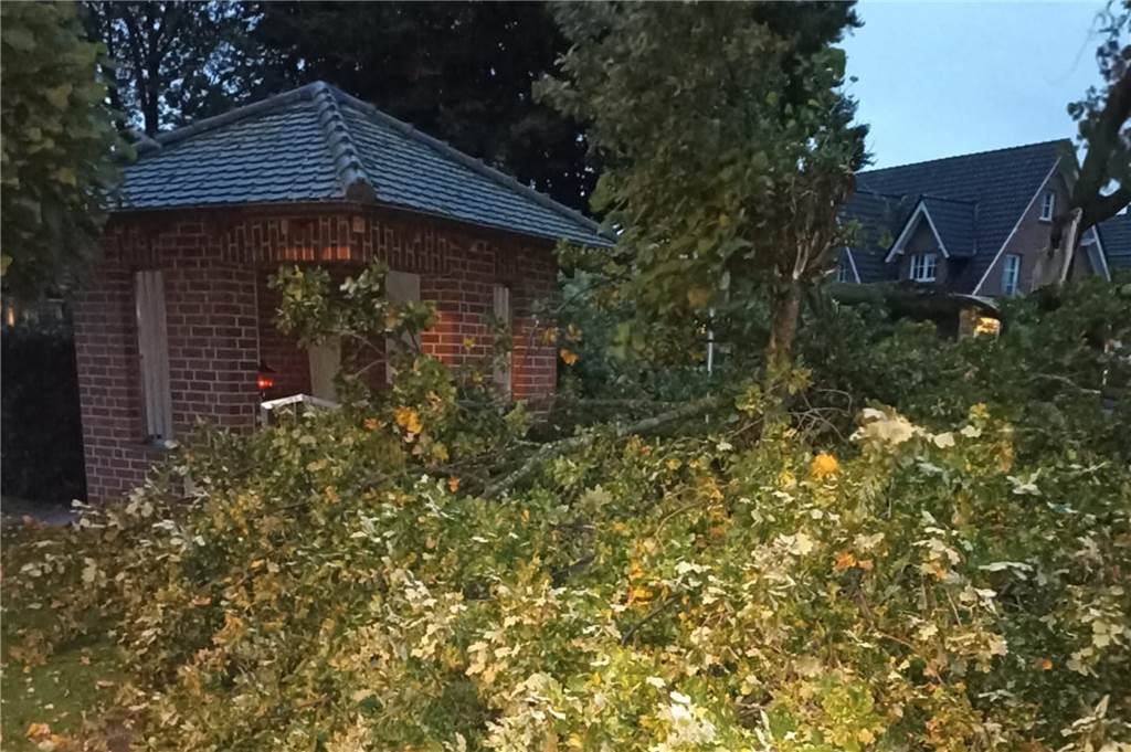 Schneller Eingriff nötig: Sturmtief zerberstet Kegelclub-Eiche Die Eiche krachte neben die Marienkapelle (im Hintergrund), die unbeschadet blieb.