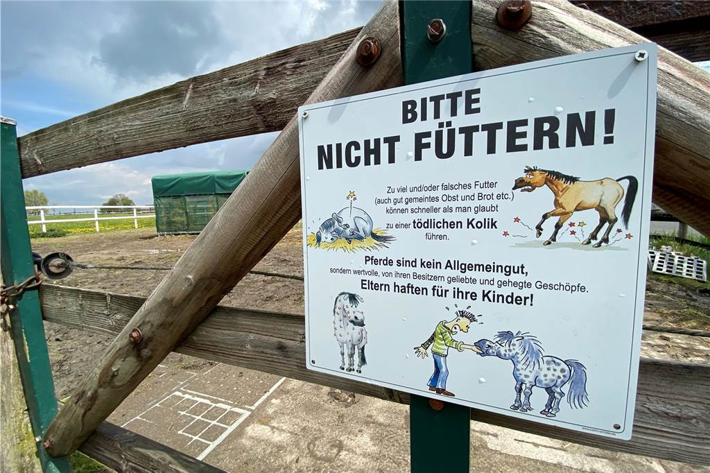 Spaziergänger füttern ungefragt Pferde: Große Gefahr für Mensch und Tier Die Eigentümer der Pferde in der Bauerschaft haben bereits Hinweisschilder an die Zäune gehängt.
