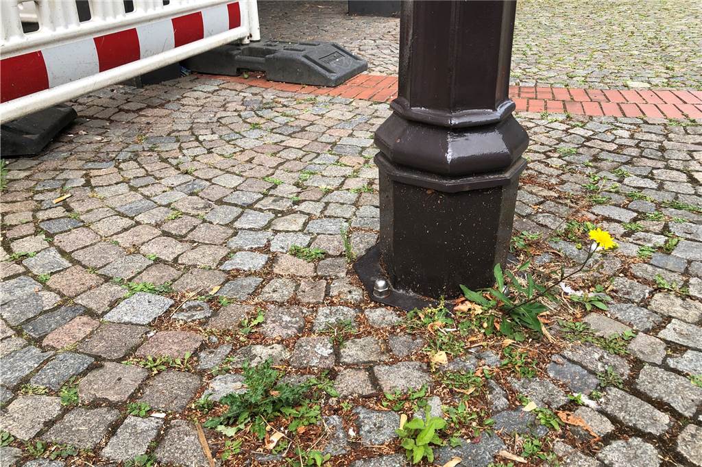 Investitionen ins Halterner Rathaus wünschenswert - haben aber keine Priorität Unkraut in Fugen