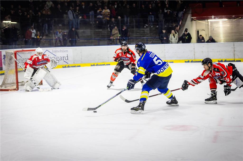 Die Eisadler Dortmund haben am Samstagabend mit 0:3 gegen die Ratinger Ice Aliens verloren.