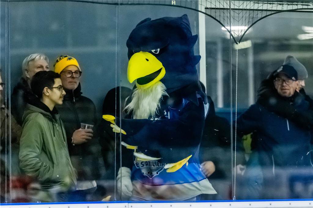 Die Eisadler Dortmund haben am Samstagabend mit 0:3 gegen die Ratinger Ice Aliens verloren.