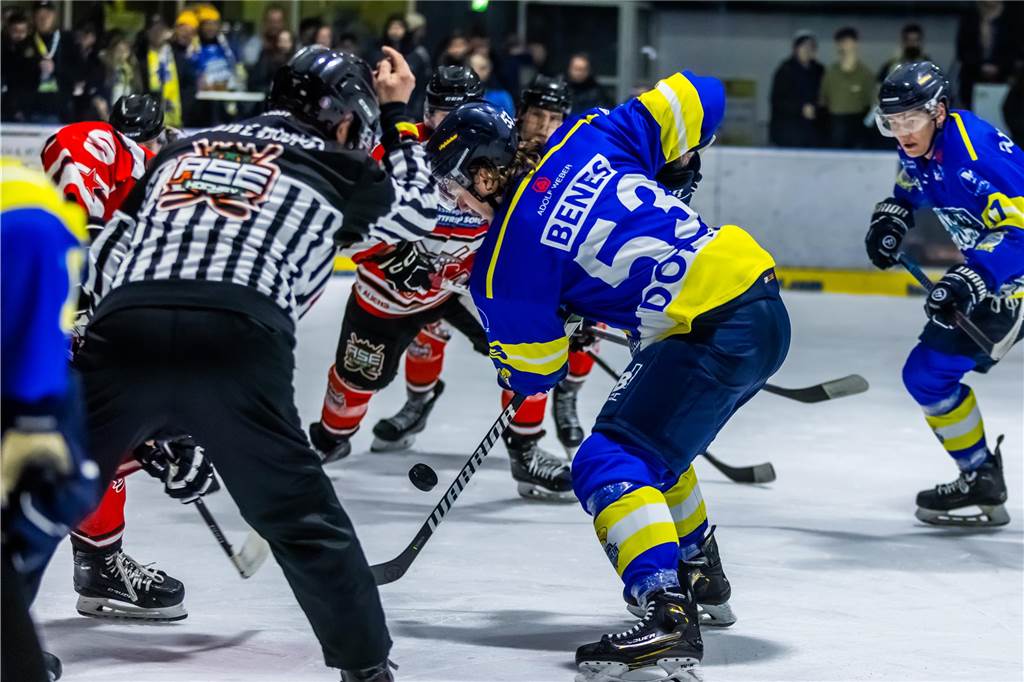 Die Eisadler Dortmund haben am Samstagabend mit 0:3 gegen die Ratinger Ice Aliens verloren.