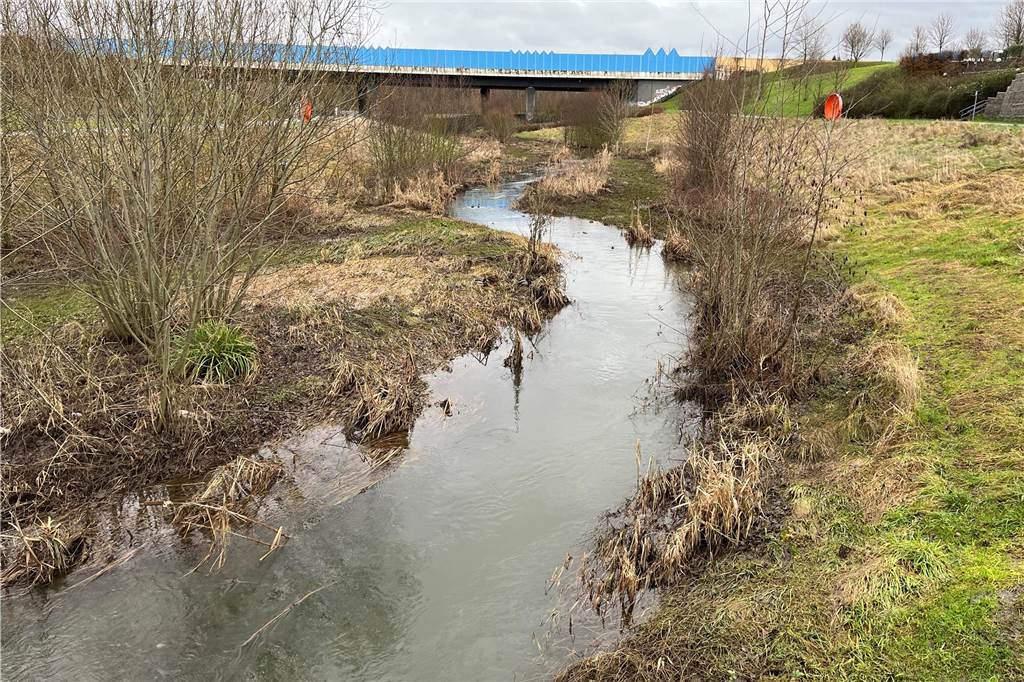 Hochwasser in NRW: Wie angespannt in die Lage in Dortmund? Die Emscher am Phoenix-See in Dortmund-Hörde.