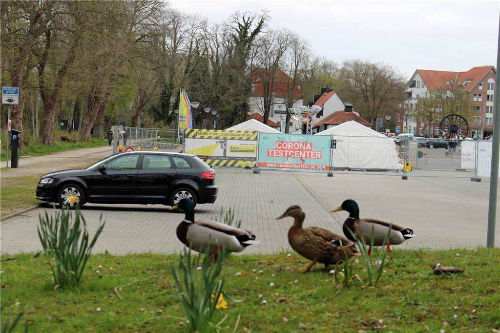 Nach Karsamstags-Trubel herrscht Sonntag am Stadtpark Werne Oster-Ruhe Die Enten ließen sich den Osterspaziergang nicht nehmen.