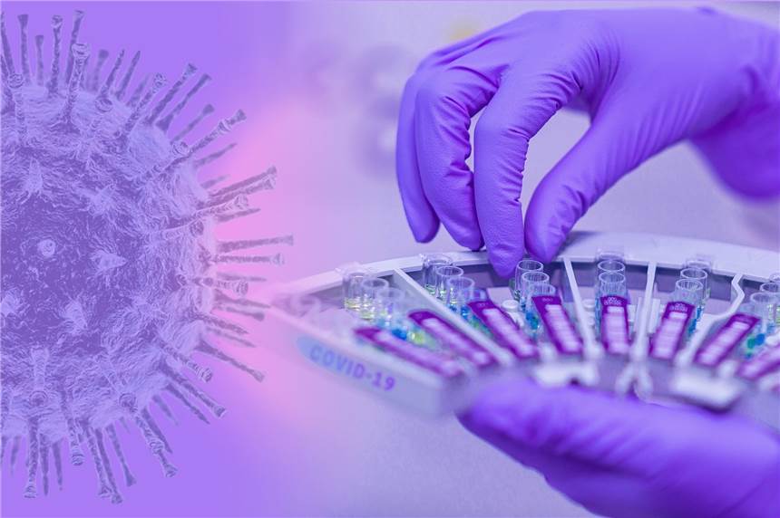 Coronavirus im Kreis Borken: Positive Befunde beim Massentest in Isselburg Die Ergebnisse des Corona-Massentest in Isselburg liegen vor. 81 Proben wurden genommen, bei denen es nicht nur einen positiven Befund gab.