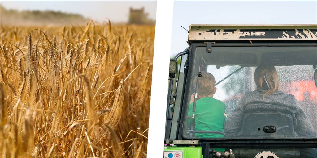 Erntezeit beginnt: Landwirtin bittet Autofahrer um Achtsamkeit Die Erntezeit hat begonnen. Eine Landwirtin bitte Autofahrer jetzt um Verständnis.