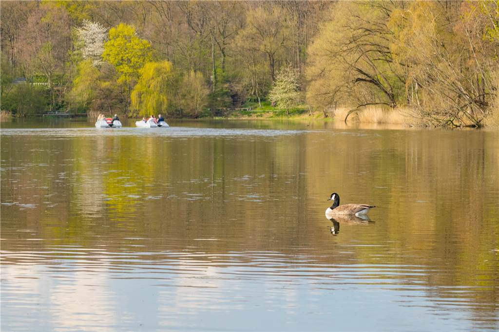 Die ersten Bötchen schippern wieder über den Cappenberger See. 