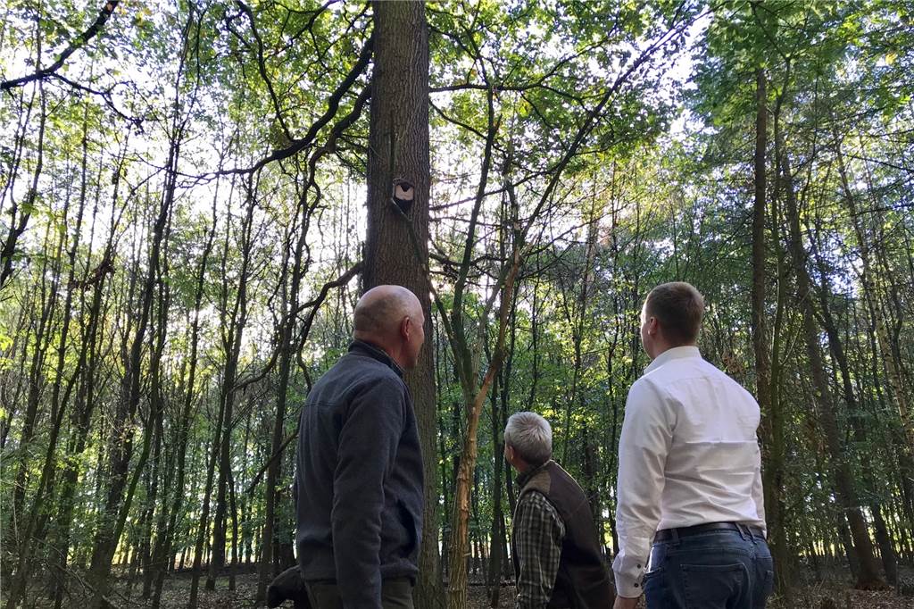 Im Barloer Busch gibt es auch für Kinder viel zu entdecken Die ersten Nistkästen hat der Hegering im Barloer Busch aufgehangen, keine 08-15-Kästen für Meisen, sondern Behausungen u.a. für einen Steinkauz.