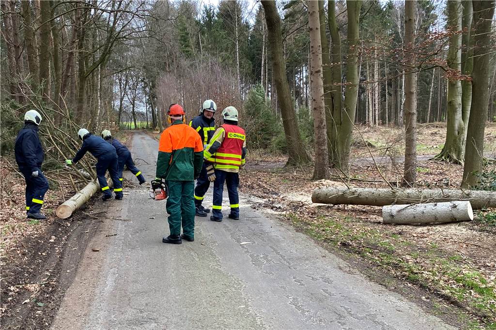 Die ersten Sturmeinsätze musste die Feuerwehr Dorsten bereits ab dem Sonntagvormittag abarbeiten. Im Laufe des Tages gab bis ca. 19 Uhr rund ein Dutzend Feuerwehr Einsätze.