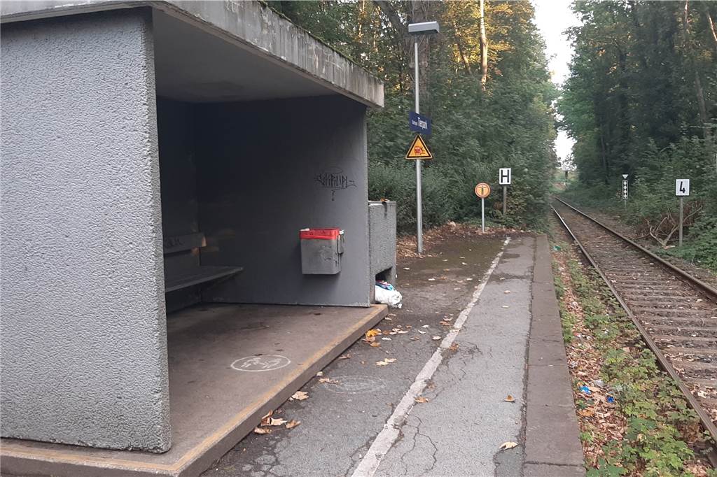 Wie ich trotz des Warnstreiks in Dortmund zur Arbeit gekommen bin Die etwas in die Tage gekommene Regionalbahn-Station am Tierpark in Brünninghausen.