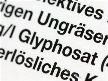 Die EU-Kommission muss nach dem aktuellen Urteil die Informationen über Glyphosat offenlegen. Foto: Jens Büttner