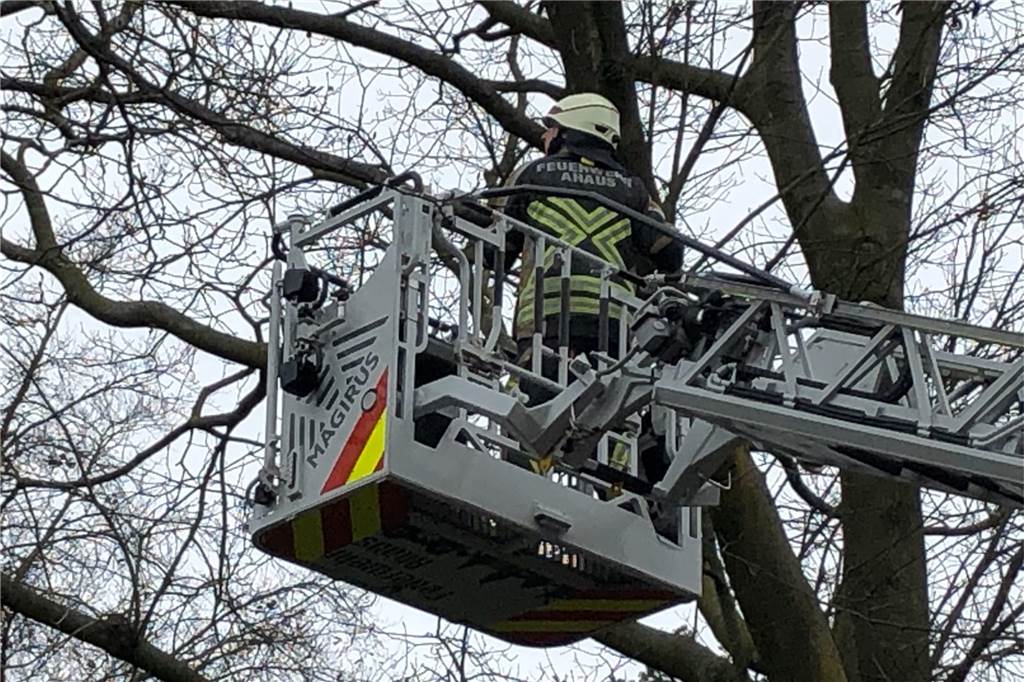 Liveticker mit Videos zum Sturm im Münsterland: Über 300 Feuerwehr- und Polizeieinsätze Die Feuerwehr Ahaus hat am Adenauerring einen abgebrochenen Ast aus einem Baum geholt.