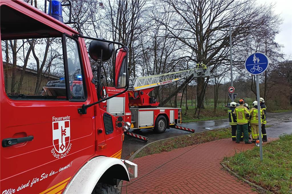 Lange Nacht für Feuerwehr: Nacharbeiten dauern bis in den Morgen Die Feuerwehr beseitigte in Lembeck einen schiefstehenden Baum.