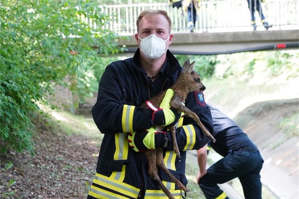 Rührend: Castrop-Rauxeler Feuerwehr rettet Rehkitz aus Bach Die Feuerwehr Castrop-Rauxel hat an Pfingstsamstag (4.6.22) ein Reh aus dem Landwehrbach gerettet. Ein Jäger untersuchte das Tier und rieb es mit Gras ab, bevor er es wieder in die Freiheit entließ