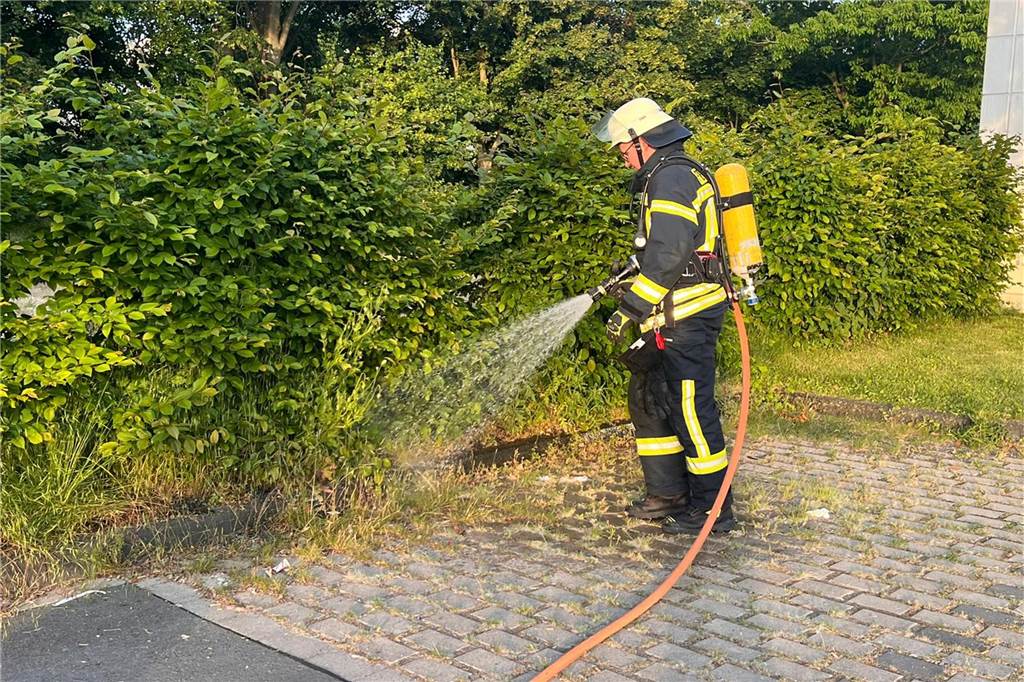 Feuerwehr Selm eilte Richtung Auenpark: Hecke hatte Feuer gefangen Die Feuerwehr hatte den Brand schnell im Griff.