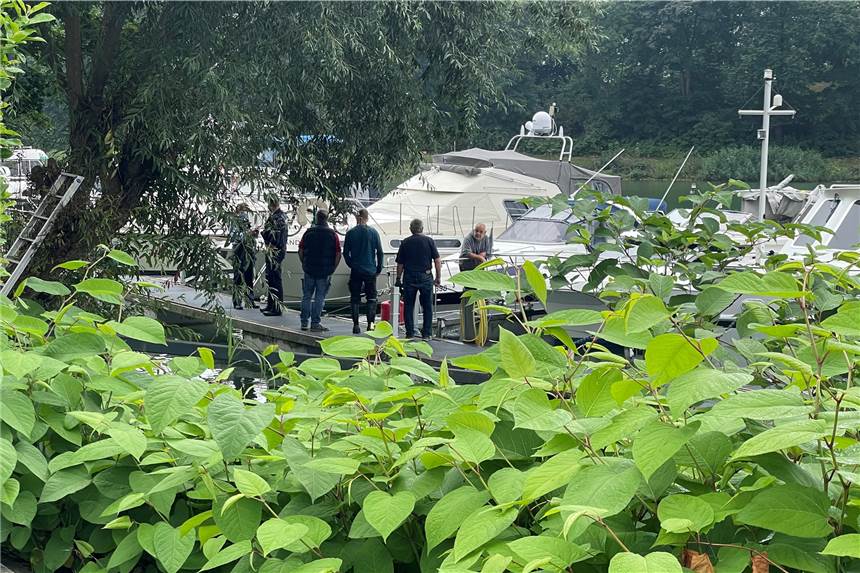 Die Feuerwehr hatte einen Großeinsatz im Yachthafen am Wesel-Datteln-Kanal.