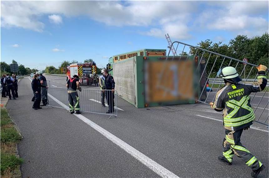 Unfall auf B473: Vieh-Anhänger mit 80 Schweinen umgekippt Die Feuerwehr ist derzeit damit beschäftigt, einen Teil der Straße mit mobilen Zäunen einzufrieden.