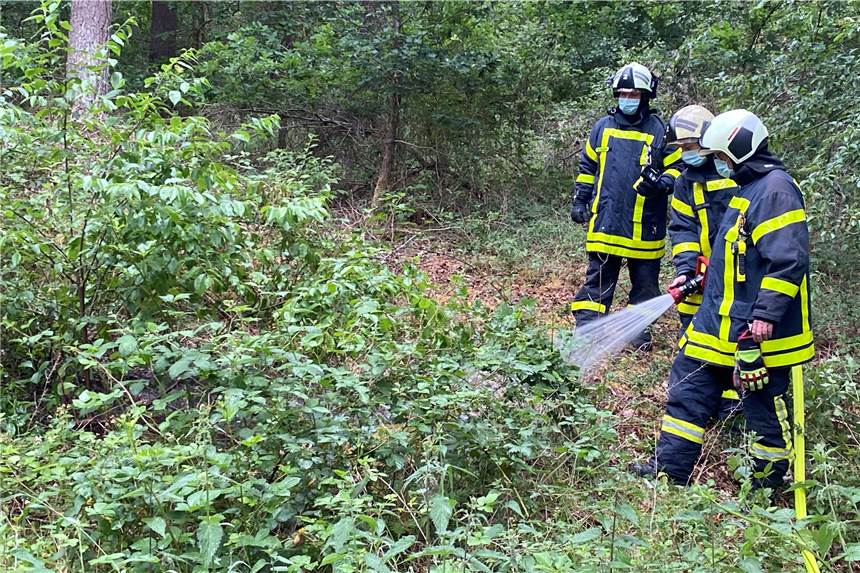 Die Feuerwehr konnte den Waldbrand schnell bekämpfen.