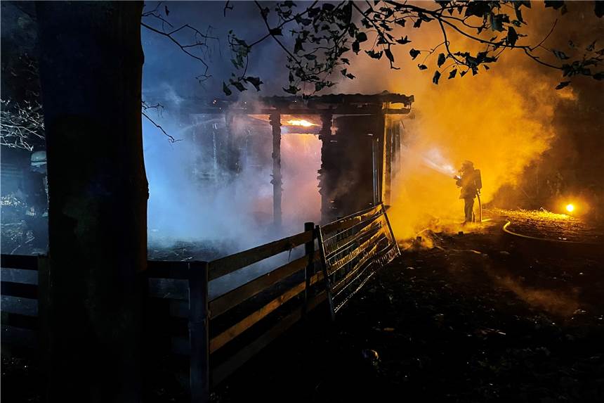 Feuer im Park von Haus Villigst: Schafstall stand in Flammen – Kriminalpolizei ermittelt Die Feuerwehr musste am Sonntagabend einen brennenden Schafstall löschen.
