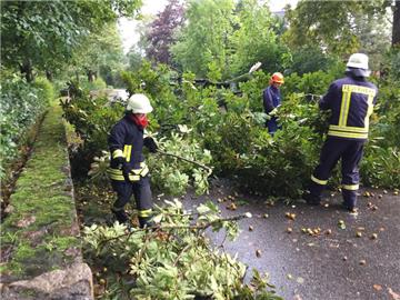 Die Feuerwehr musste zu vielen Einsätzen ausrücken, etwa um Straßen zu räumen. Der Sturm Sebastian wehte viele Bäume um. Hier in Aukrug-Homfeld in Schleswig-Holstein. 