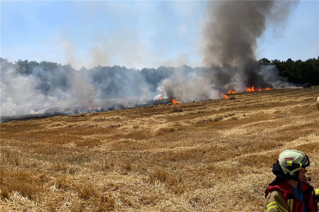 Heftiges Unwetter: Windhose, umgekippte Bäume, massive Rauchentwicklung Die Feuerwehr Raesfeld rückte zu Einsätzen am Wochenende aus.