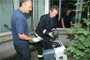 Die Feuerwehr rettete die Entenfamilie aus dem Innenhof.