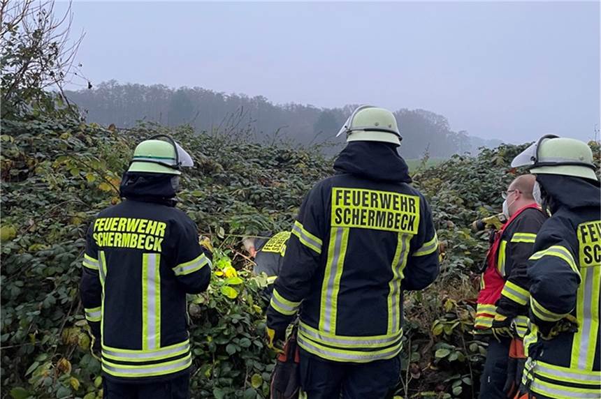 Hund Charly verfängt sich in Hecke: Feuerwehr-Einsatz Die Feuerwehr Schermbeck rückte am Donnerstagnachmittag zu einer Hecke aus, in der sich ein Hund verfangen hatte.