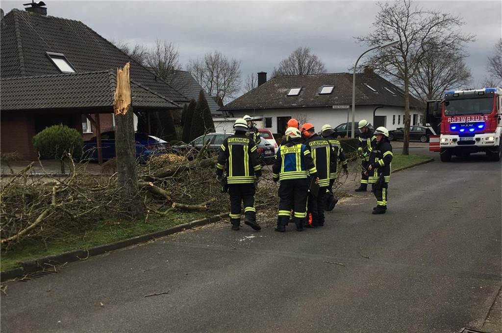 Liveticker mit Videos zum Sturm im Münsterland: Über 300 Feuerwehr- und Polizeieinsätze Die Feuerwehr Vreden musste sich um umgestürzte Bäume kümmern.