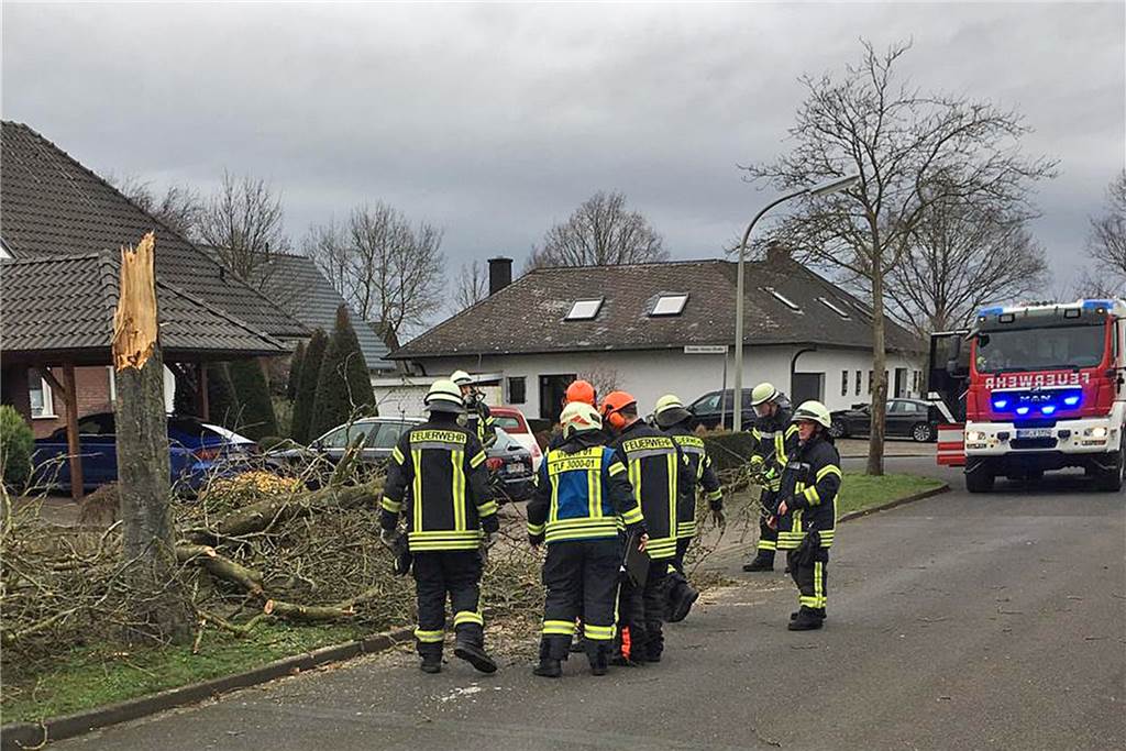 Die große Sturm-Bilanz: Mehrere Hundert Einsätze und zwei größere Schäden im Münsterland Die Feuerwehr Vreden musste sich um umgestürzte Bäume kümmern.